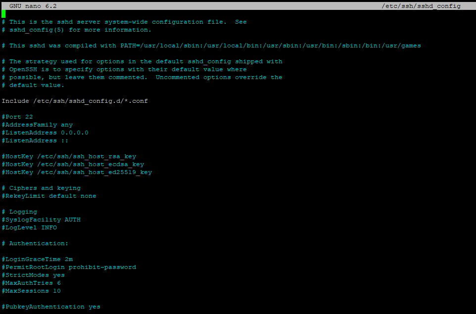 SSH Config Nano Text Editor Screen