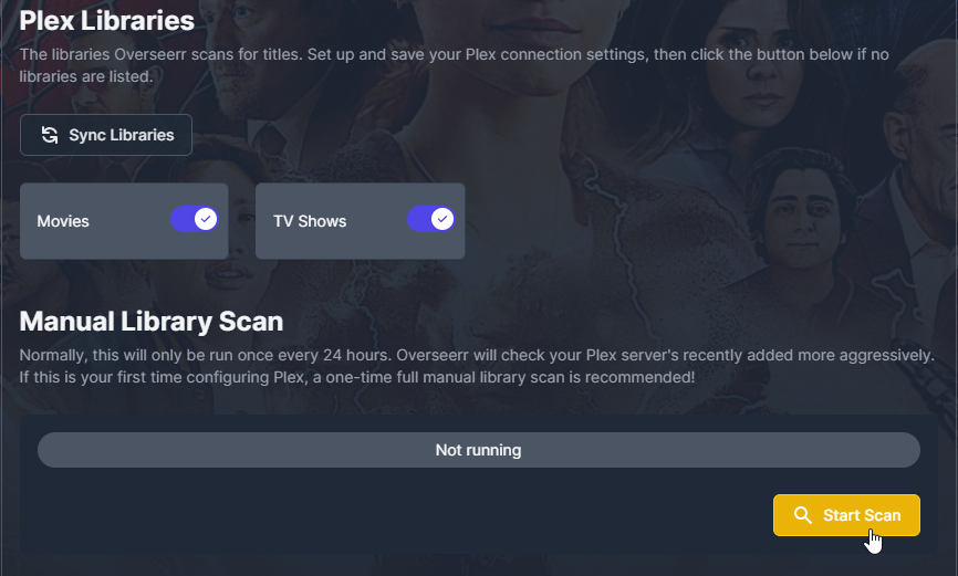Overseerr Library Selection