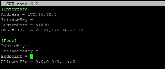 WireGuard Peer Conf File Contents