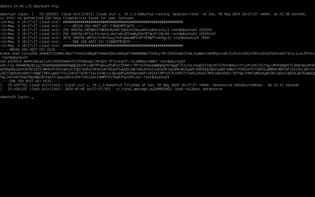 Server Boot Screen with Login Prompt
