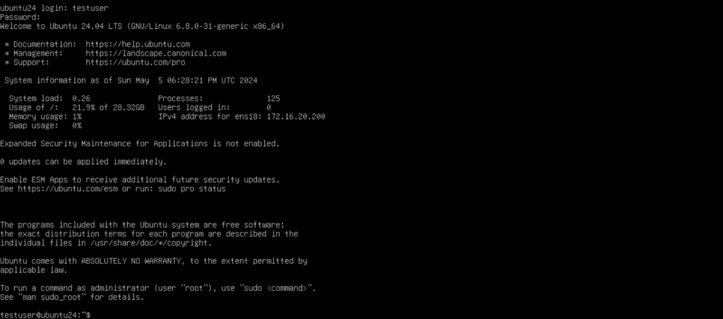 Logged In Server Terminal
