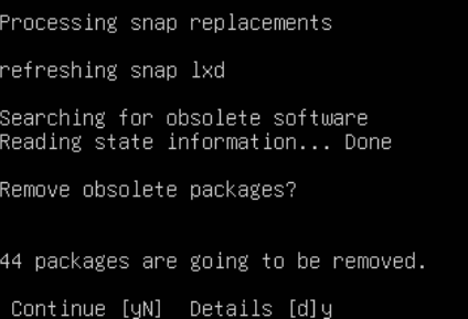 Second Obsolete Package Removal Confirmation