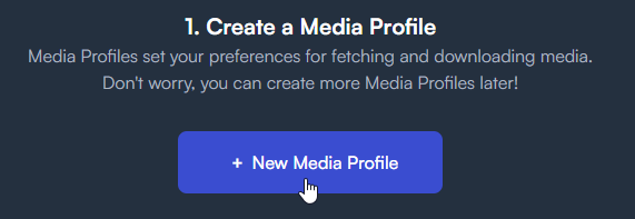 Pinchflat New Media Profile