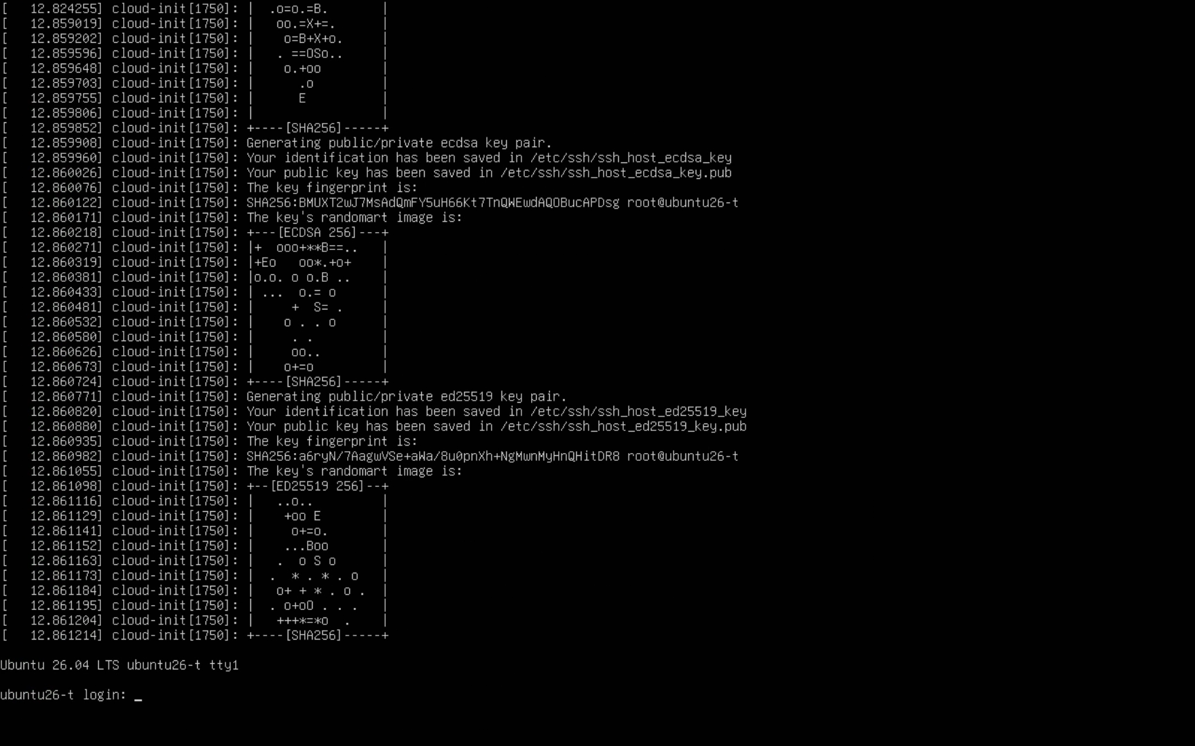 Server Boot Screen with Login Prompt
