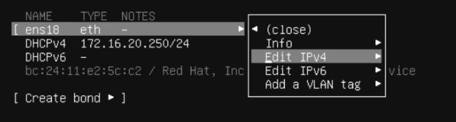 Network Interface Edit IPv4 Option